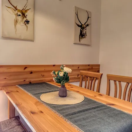 Apartment Maibrunn Dali, Ski-in&out